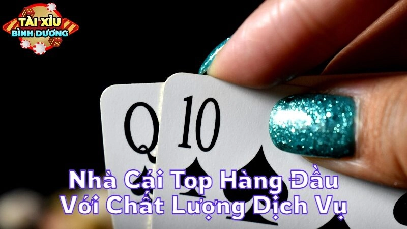 Nhà Cái Top Hàng Đầu Với Chất Lượng Dịch Vụ